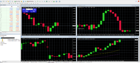 Streamline Your Trades: MetaTrader and Interactive Brokers Integration Tool